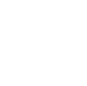 Projectum Ltd